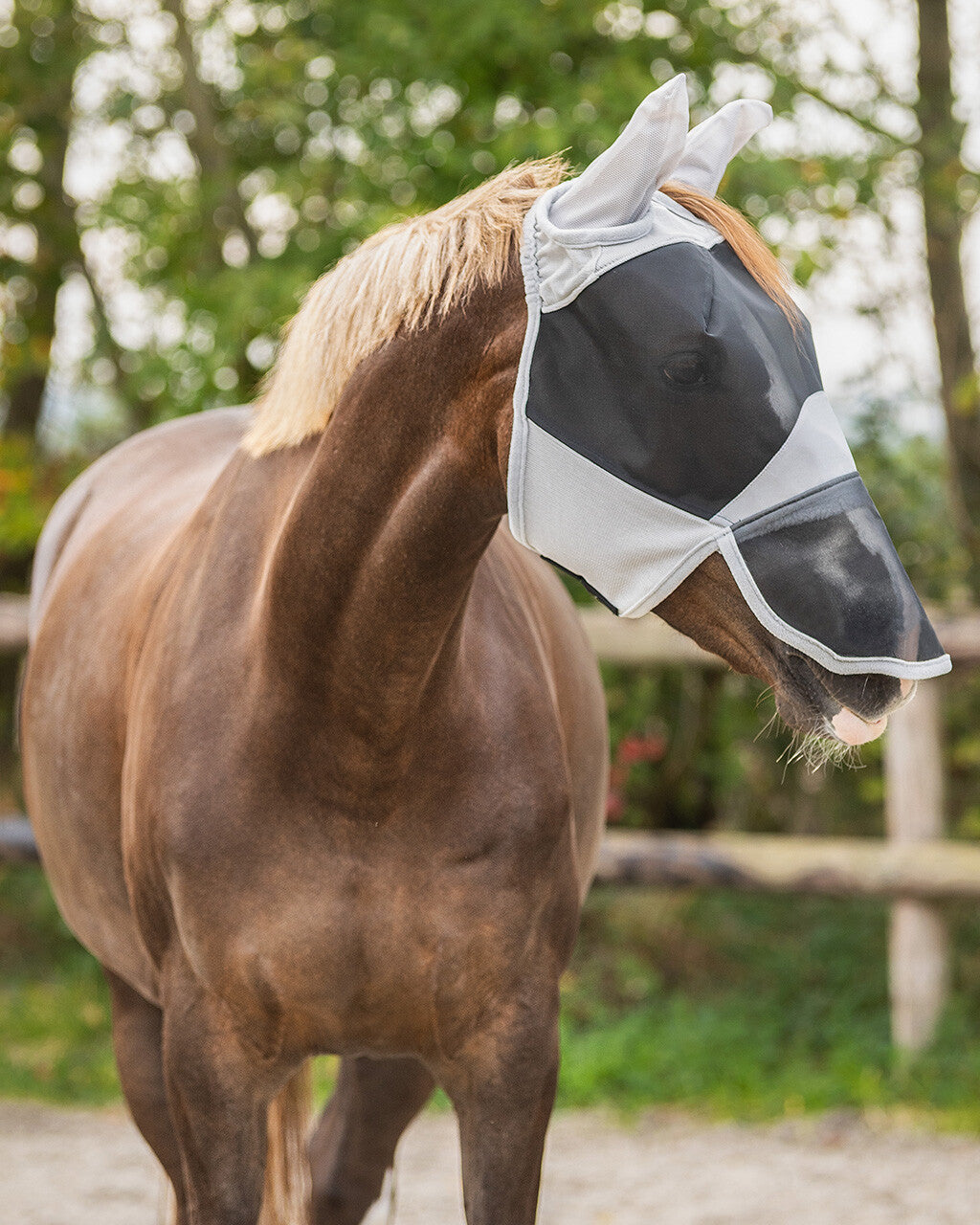 Bonnet anti mouche anti uv