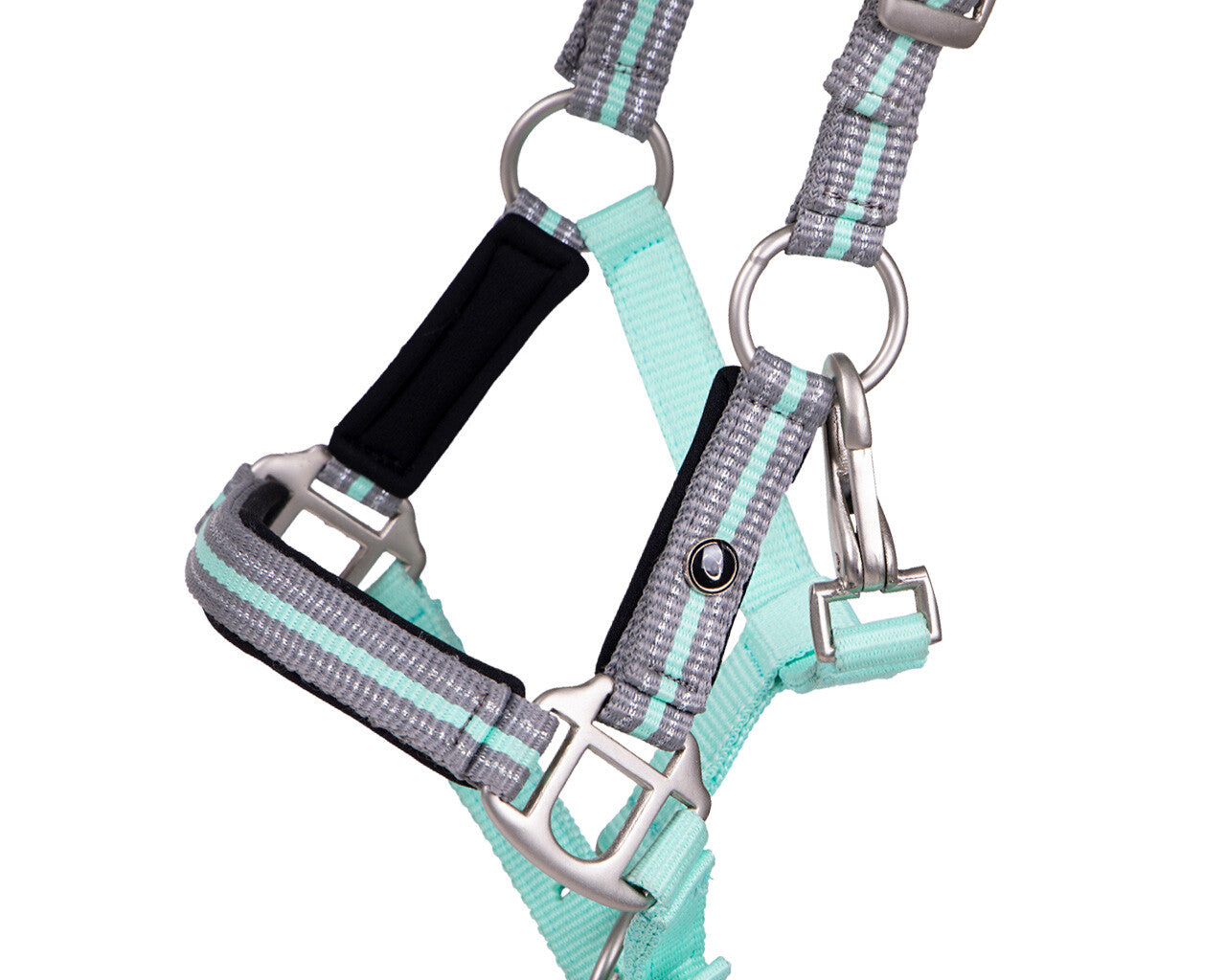 Licol de poulain Flore avec frontal