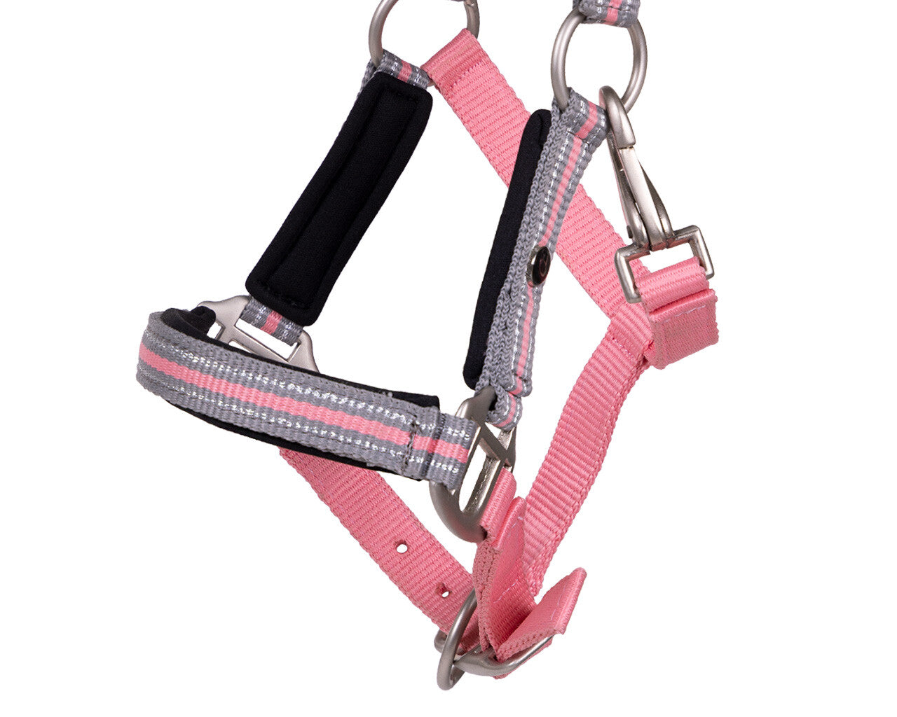 Licol de poulain Flore avec frontal