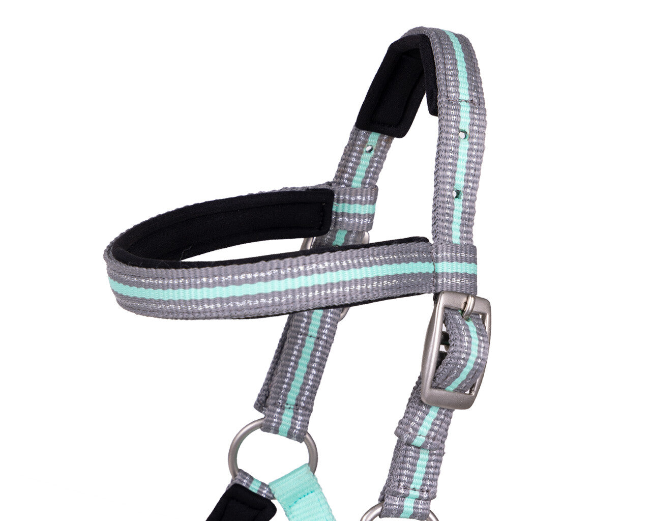 Licol de poulain Flore avec frontal