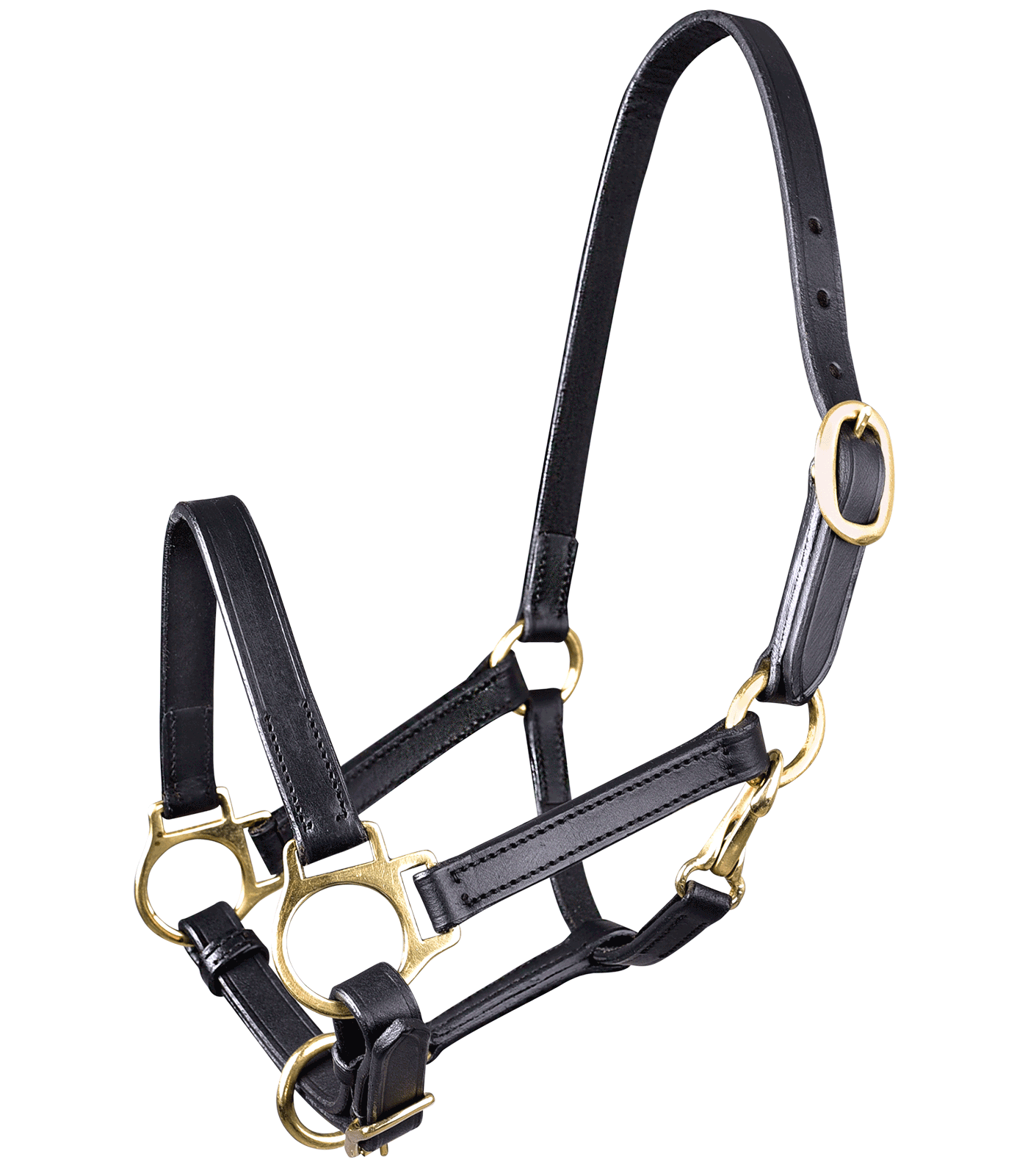 Licol en cuir pour poulain