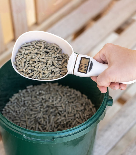 Pelle à grain électronique